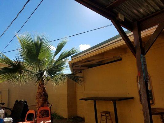 Patio, got the nice sunny day I'm going to sit outside