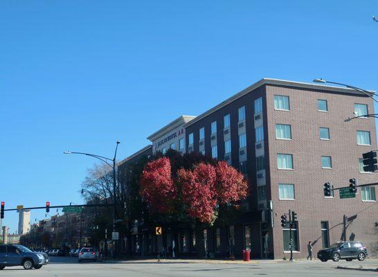 A fall view of the hotel.