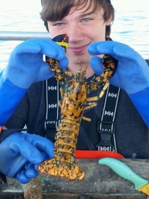 Smitty's State Pier Lobster Pound