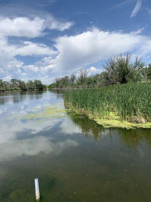 Bluff Lake