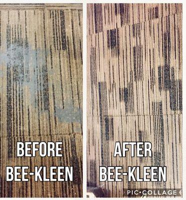 Bee-Kleen restoring carpets in Colorado Springs!