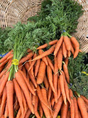 Fresh carrots