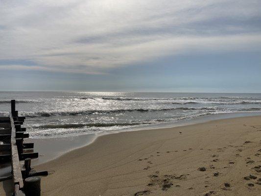 Morning beach walk