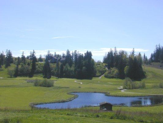 Hole #17  Lovely shot around the lake.