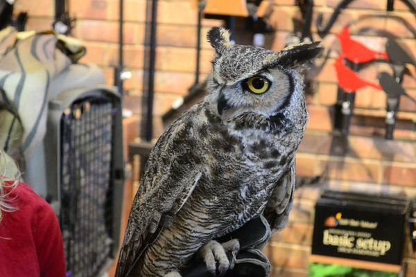 We had 4 rescue birds in our store for our Grand Opening Event, we will have other events like this in future!