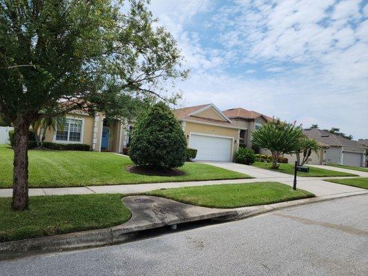 Complete lawn maintenance with sidewalk and driveway edging.