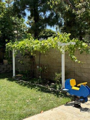 DIY wood planks added to the top to hold the weight of my growing grapes!