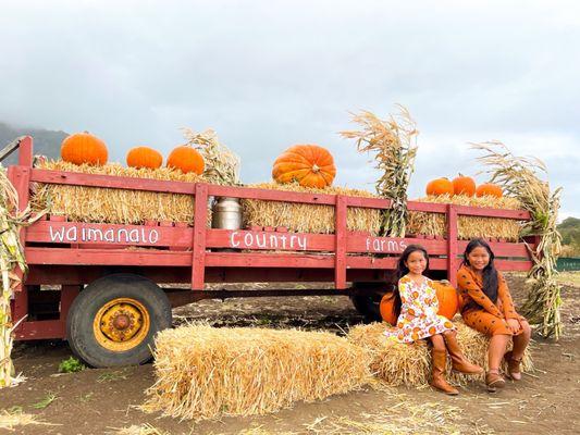 Autumn Leaves & Pumpkins Please!