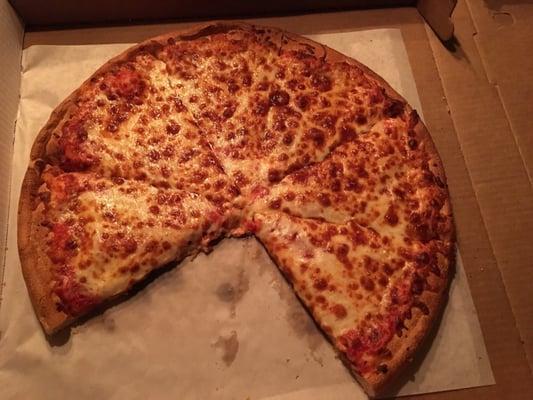 Large cheese pizza