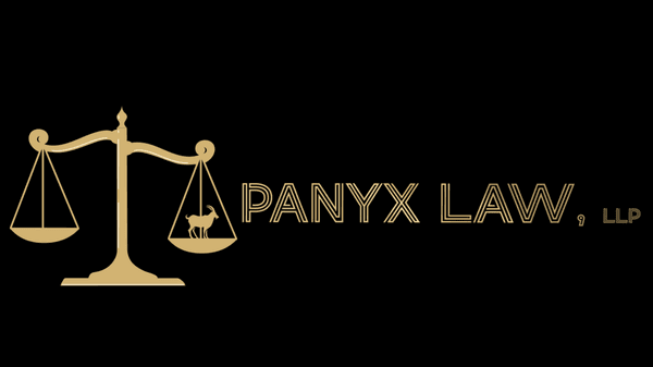 When you're in an accident, don't panic, call Panyx!