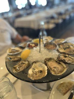 Blue point oysters