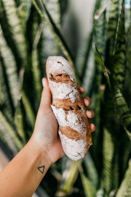 Cranberry Walnut Baguette