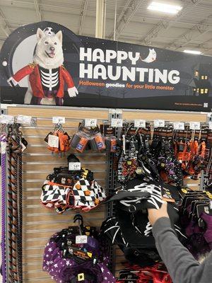 Halloween dog costumes