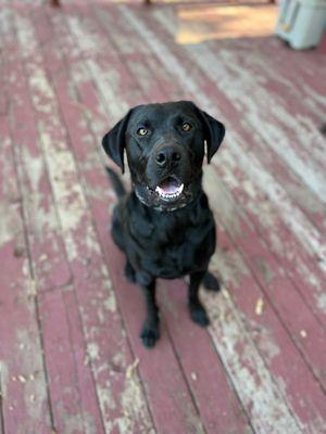 Our boy Gunner!