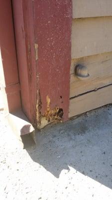 Termite damage I've been asking for it to be fixed for 7 years.