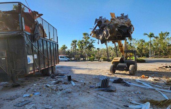 Semper Fi Tree and Debris