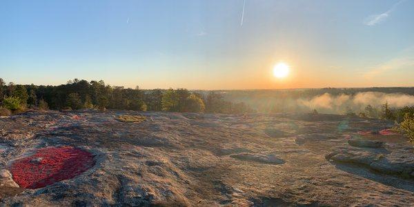 Arabia Mountain National Heritage Area