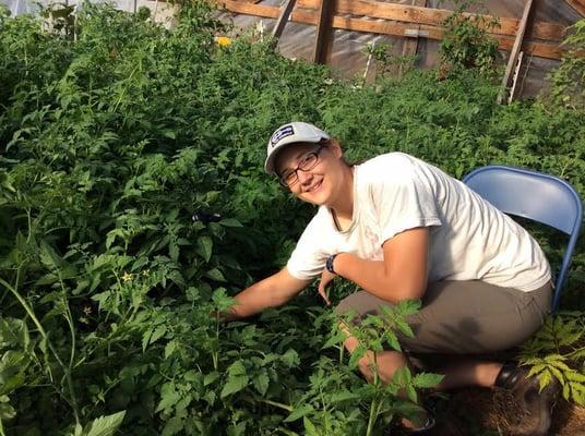 Our interns are the best. Our high tunnel keeps things growing late, early and throughout most of the season.