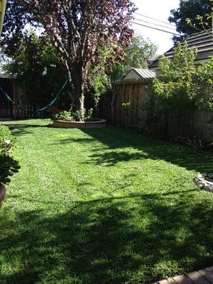 After lees gardening serviced my garden. Excellent work, lawn is well maintained and perfectly cut!