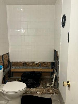 Unfinished guest bathroom with a bathtub instead of standing shower.