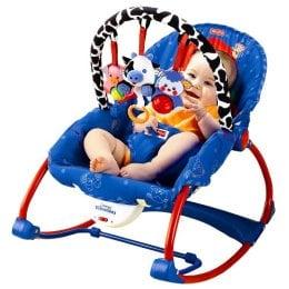 Bouncey Seat/Rocker