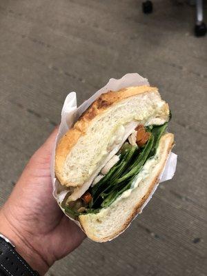 Chicken Pesto Panini