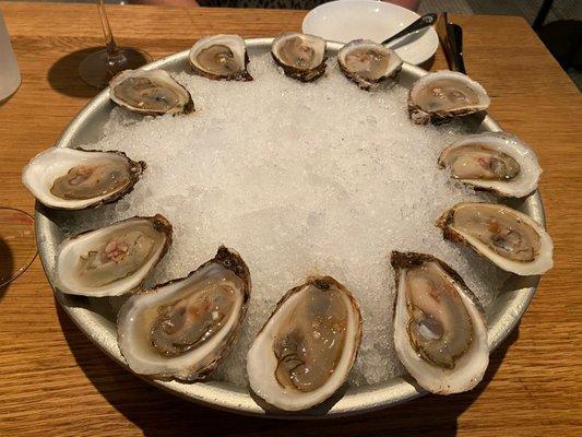 Oysters