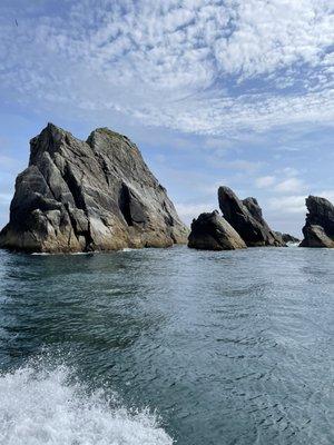 Beautiful sights on our boat tour headed toward Holgate Glacier