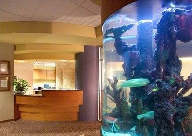 Cool Fish Tank!