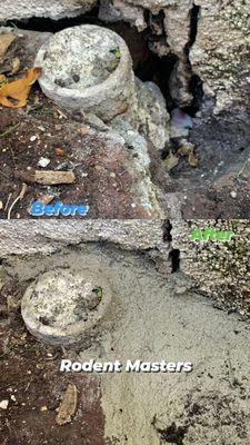 A huge gap was found on the exterior wall and foundation. Used by Rodents to access the wall.