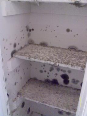 Mold damaged closet