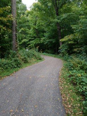 Nice paved paths