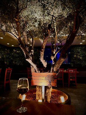 Our famous olive tree at night light up.  Good for date night with Wine or Sake and, of course, Hinodeya Ramen.