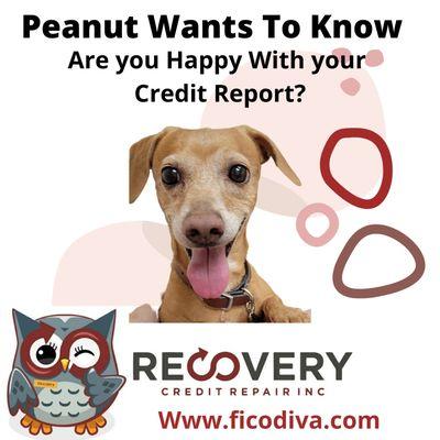 #are #you #happy with #your #current #creditreport ?

#letsdothis #letsgo 

#ficodiva #recoverycreditrepairinc 

Www.ficodiva.com