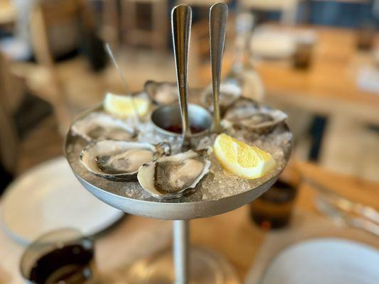 Tomales Bay Oysters