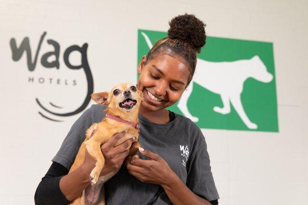 Your dog is one-of-a-kind! That's why we offer individualized care and inclusive programs to fit every dog's needs.