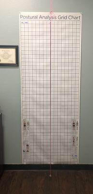 Standing in front of this chart helps me determine what muscles could be compensating for poor posture.