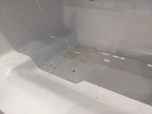 Mold in the freezer