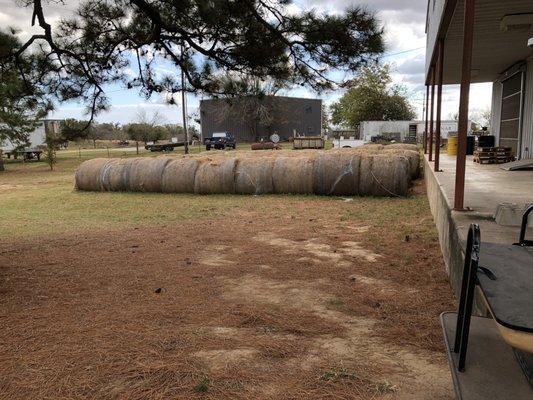 Hay bales