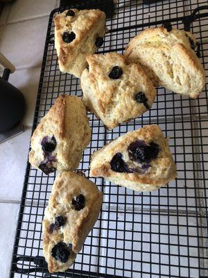 First batch  Lemon and blueberries Scones 4/19/22