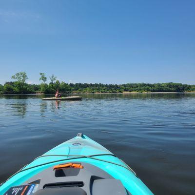 #canoelady #wisconsinrivertrips #summerfun #sandbarfun #camping