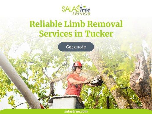 7_Salas Tree Service_Reliable Limb Removal Services in Tucker.jpg