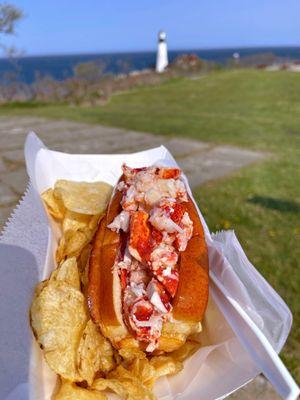 Connecticut lobster roll