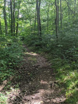 One of the trails at Scioto Trails State Park. Fairly wide and marked well.