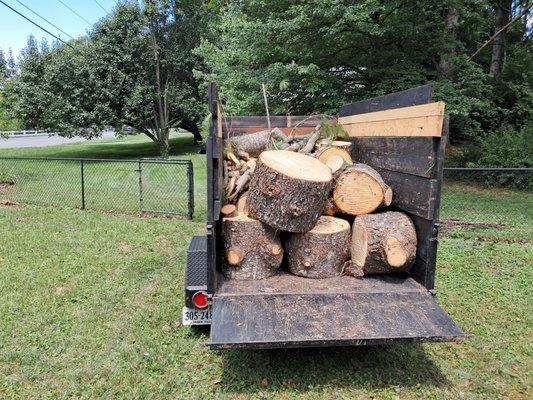 Tree removal