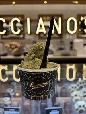 Pistacchio gelato is the BEST!!!