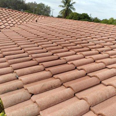 Plantation Roof Cleaning After