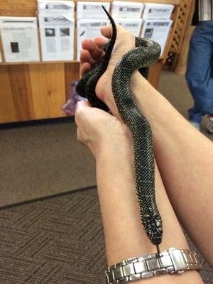 Snake selfie at the Nature Station.