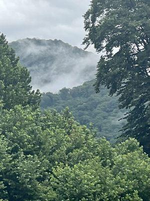 That Appalachia haze after a rain