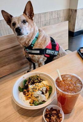 Service dogs are welcome, Aspen had the chicken bowl